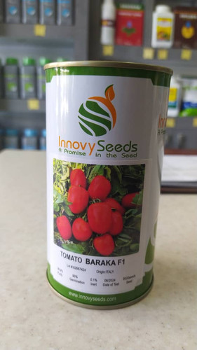 بذر گوجه باراکا